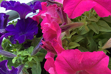 Midsommar 2020 hemsida