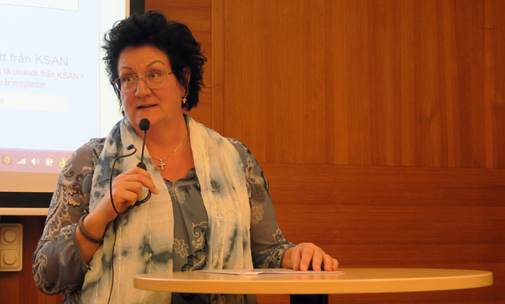 kristina årsmöte 2017