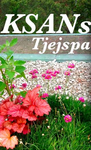 ksan-tjejspa-bellanet